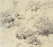 Thomas Gainsborough Study for a Foreground,a Bank with Weeds and Thistles Sweden oil painting artist